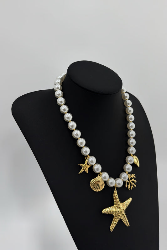 COLLAR CONCH